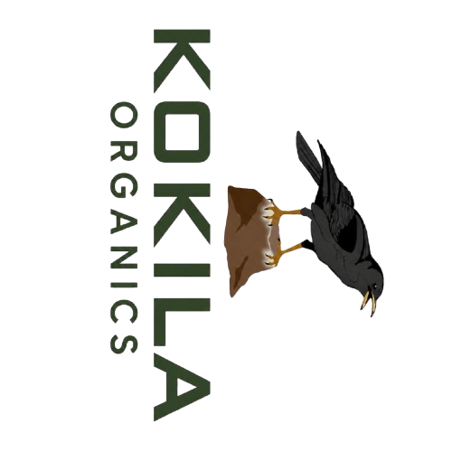 Kokila